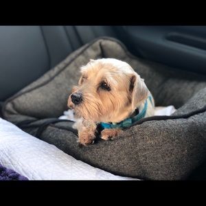 Meet your Posher, Shari